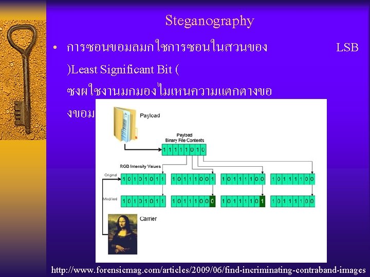 Steganography • การซอนขอมลมกใชการซอนในสวนของ LSB )Least Significant Bit ( ซงผใชงานมกมองไมเหนความแตกตางขอ งขอมลทเปลยนไป (Picture, Sound, etc. )