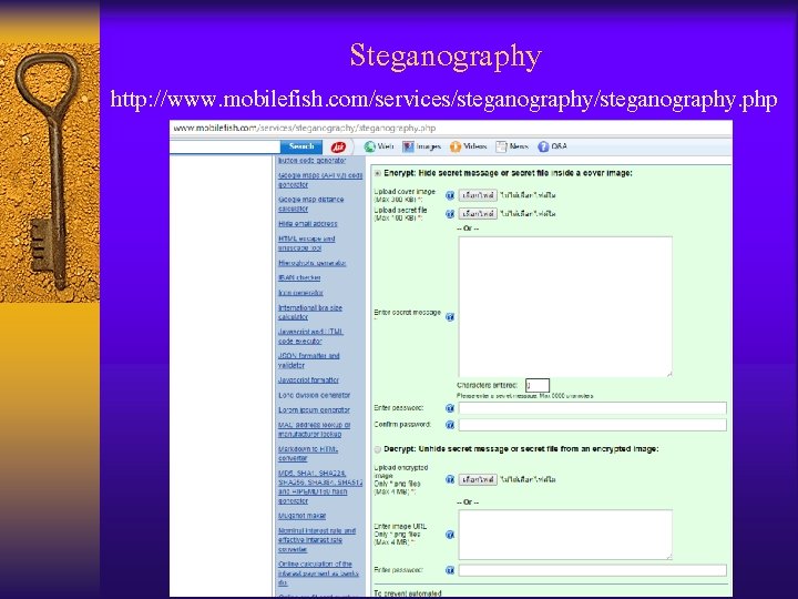 Steganography • http: //www. mobilefish. com/services/steganography. php 