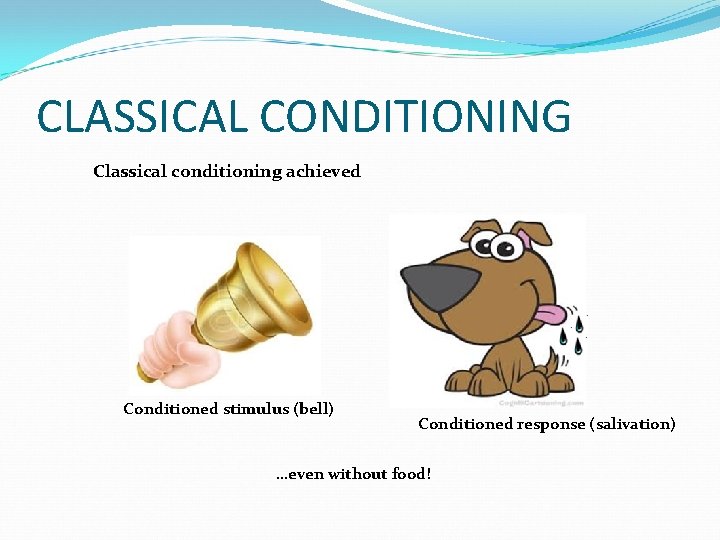 CLASSICAL CONDITIONING Classical conditioning achieved Conditioned stimulus (bell) Conditioned response (salivation) …even without food!