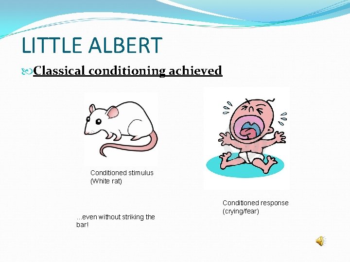 LITTLE ALBERT Classical conditioning achieved Conditioned stimulus (White rat) . . . even without