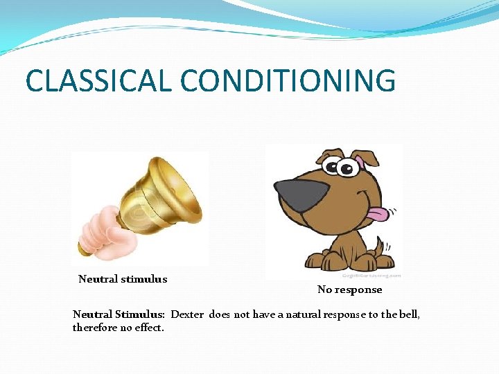 CLASSICAL CONDITIONING Neutral stimulus No response Neutral Stimulus: Dexter does not have a natural