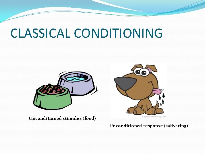 CLASSICAL CONDITIONING Unconditioned stimulus (food) Unconditioned response (salivating) 