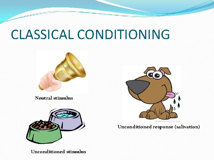 CLASSICAL CONDITIONING Neutral stimulus Unconditioned response (salivation) Unconditioned stimulus 