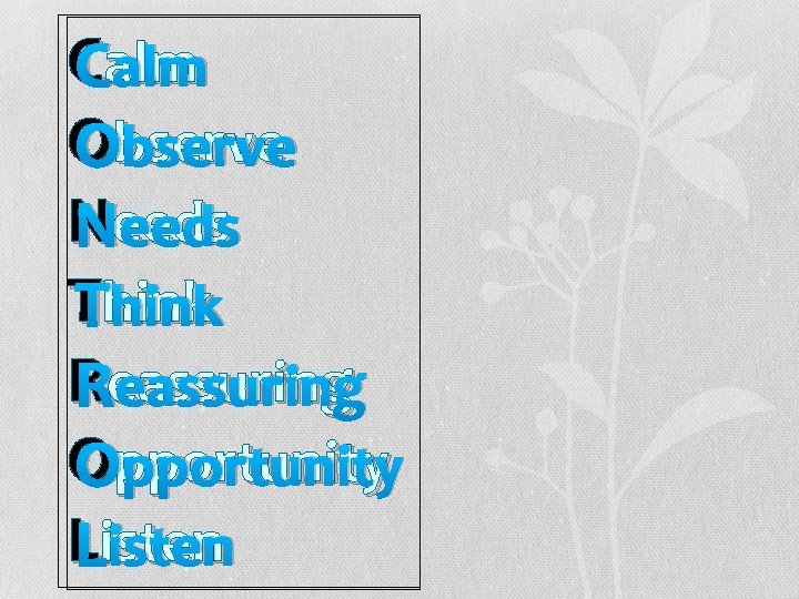 CCalm O bserve Observe N eeds Needs TThink RReassuring O pportunity Opportunity LListen 