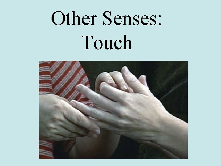 Other Senses: Touch 