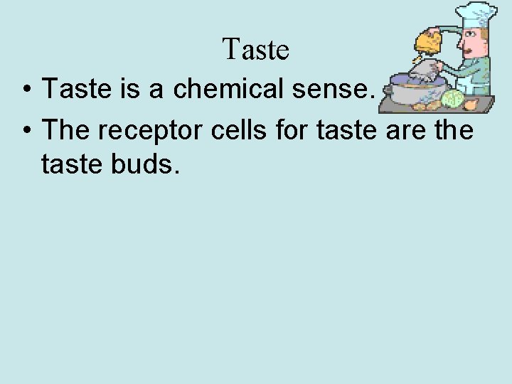 Taste • Taste is a chemical sense. • The receptor cells for taste are