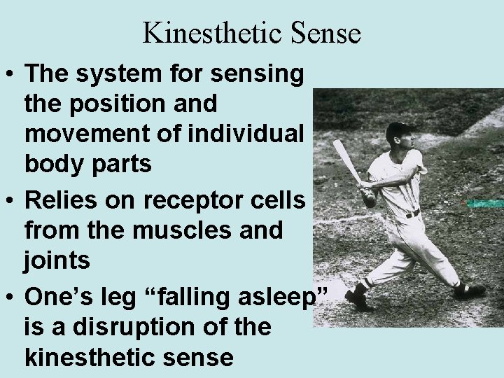 Kinesthetic Sense • The system for sensing the position and movement of individual body