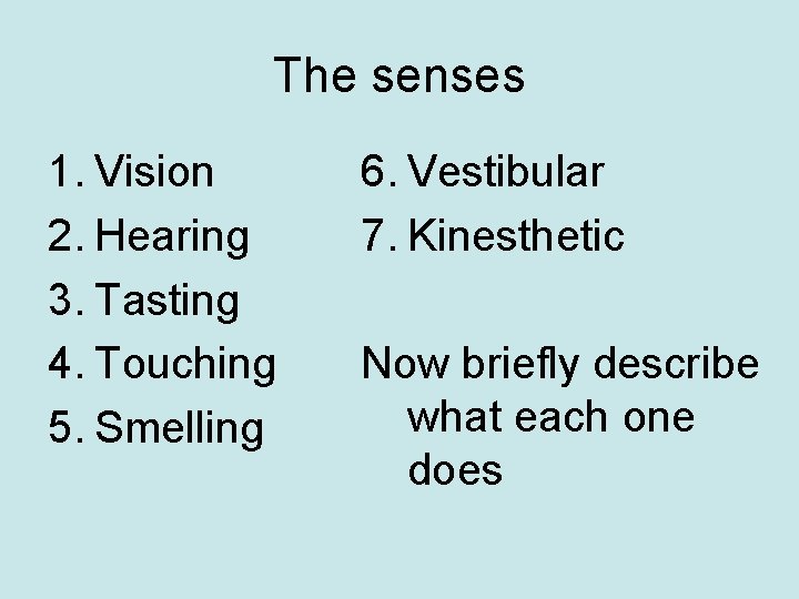 The senses 1. Vision 2. Hearing 3. Tasting 4. Touching 5. Smelling 6. Vestibular