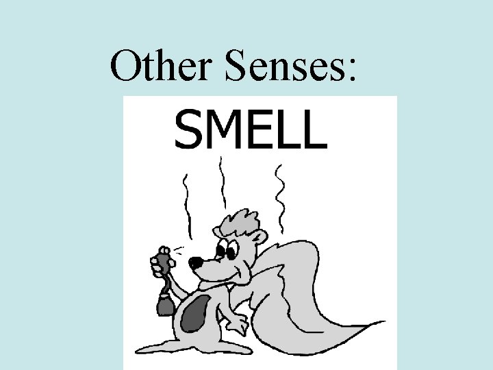Other Senses: 