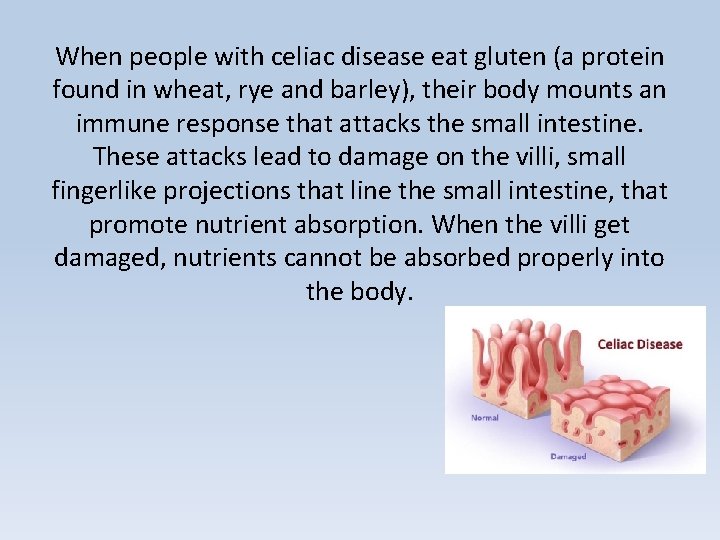When people with celiac disease eat gluten (a protein found in wheat, rye and