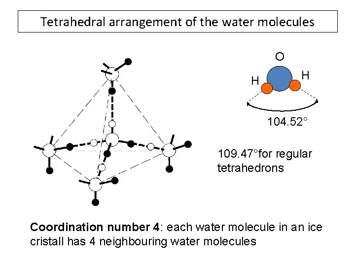 Tetrahedral arrangement of the water molecules O H H 104. 52° 109. 47°for regular