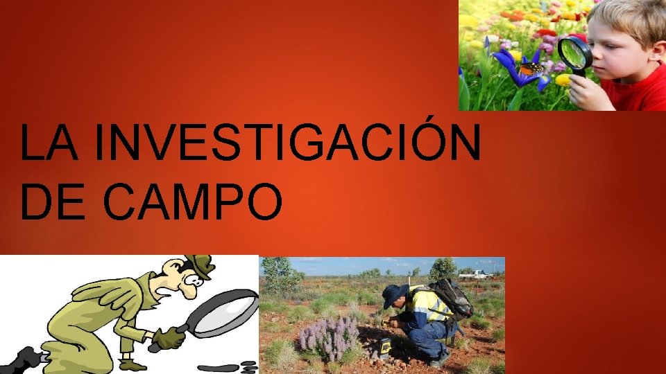LA INVESTIGACIÓN DE CAMPO 