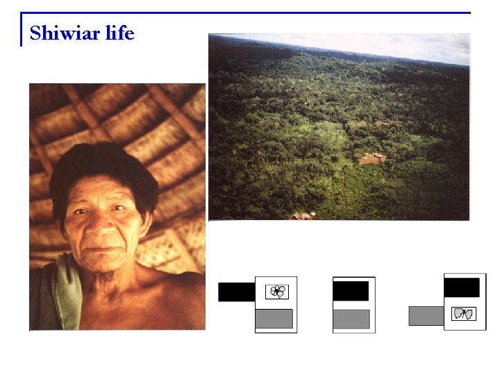 Shiwiar life 