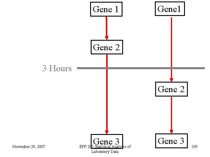 Gene 1 Gene 2 3 Hours Gene 2 November 29, 2007 Gene 3 EPP