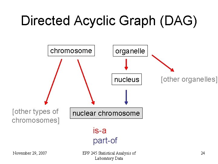 Directed Acyclic Graph (DAG) chromosome organelle nucleus [other types of chromosomes] [other organelles] nuclear