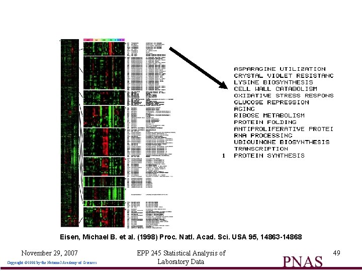 Eisen, Michael B. et al. (1998) Proc. Natl. Acad. Sci. USA 95, 14863 -14868