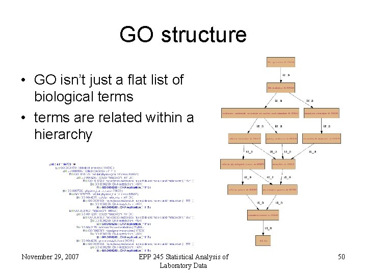 GO structure • GO isn’t just a flat list of biological terms • terms