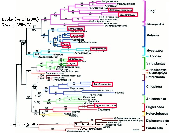 Baldauf et al. (2000) Science 290: 972 November 29, 2007 EPP 245 Statistical Analysis