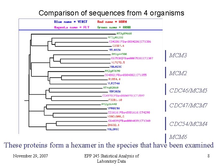 Comparison of sequences from 4 organisms MCM 3 MCM 2 CDC 46/MCM 5 CDC