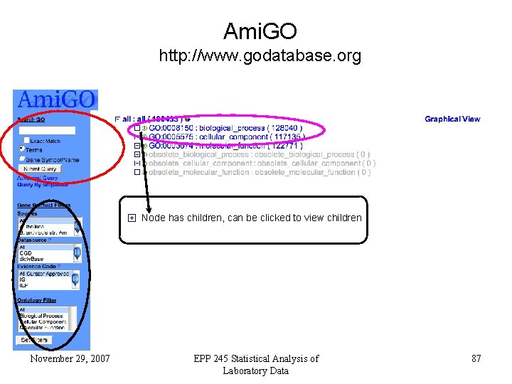 Ami. GO http: //www. godatabase. org Node has children, can be clicked to view