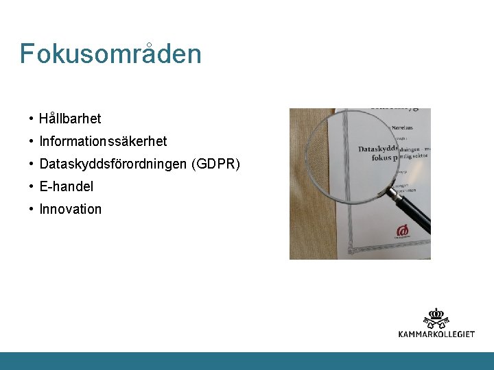 Fokusområden • Hållbarhet • Informationssäkerhet • Dataskyddsförordningen (GDPR) • E-handel • Innovation 