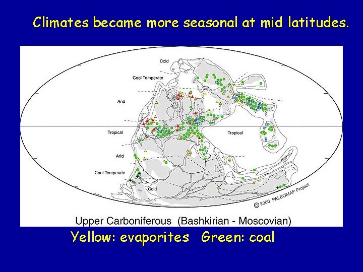 Climates became more seasonal at mid latitudes. Yellow: evaporites Green: coal 