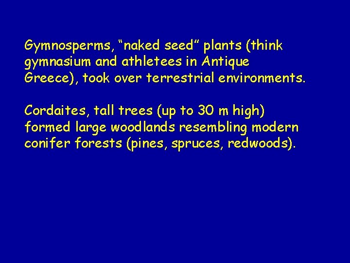 Gymnosperms, “naked seed” plants (think gymnasium and athletees in Antique Greece), took over terrestrial