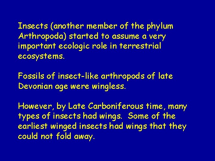 Insects (another member of the phylum Arthropoda) started to assume a very important ecologic
