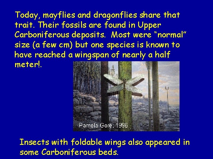 Today, mayflies and dragonflies share that trait. Their fossils are found in Upper Carboniferous
