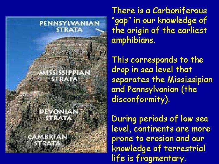 There is a Carboniferous “gap” in our knowledge of the origin of the earliest