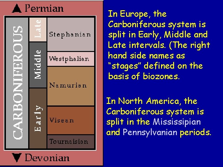 In Europe, the Carboniferous system is split in Early, Middle and Late intervals. (The