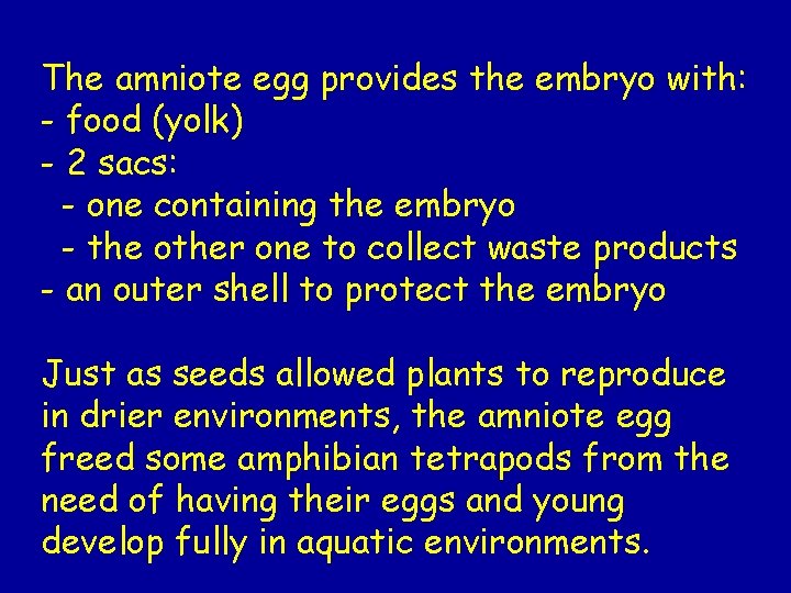 The amniote egg provides the embryo with: - food (yolk) - 2 sacs: -