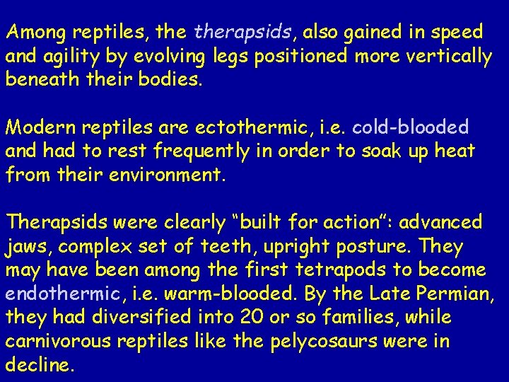 Among reptiles, therapsids, also gained in speed and agility by evolving legs positioned more