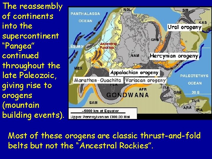 The reassembly of continents into the supercontinent “Pangea” continued throughout the late Paleozoic, giving