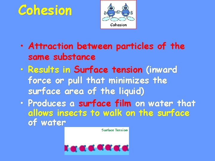 Cohesion • Attraction between particles of the same substance • Results in Surface tension