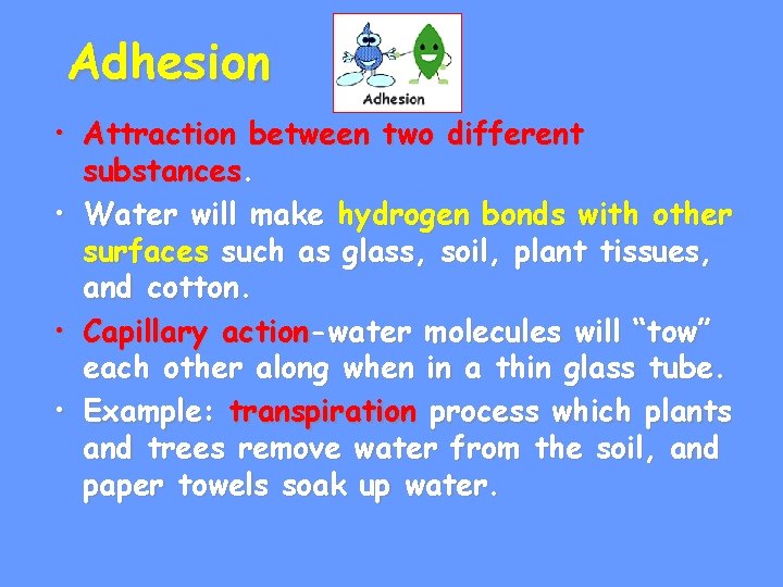 Adhesion • Attraction between two different substances. • Water will make hydrogen bonds with