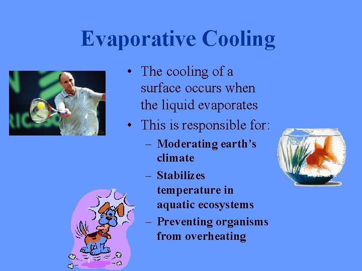 Evaporative Cooling • The cooling of a surface occurs when the liquid evaporates •