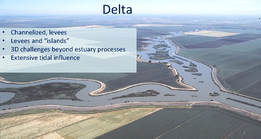 Delta • • Channelized, levees Levees and “islands” 3 D challenges beyond estuary processes