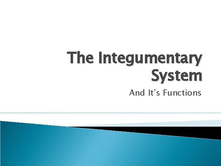 The Integumentary System And It’s Functions 