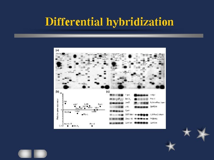 Differential hybridization 