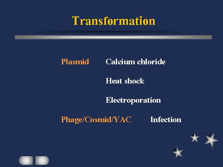 Transformation Plasmid Calcium chloride Heat shock Electroporation Phage/Cosmid/YAC Infection 