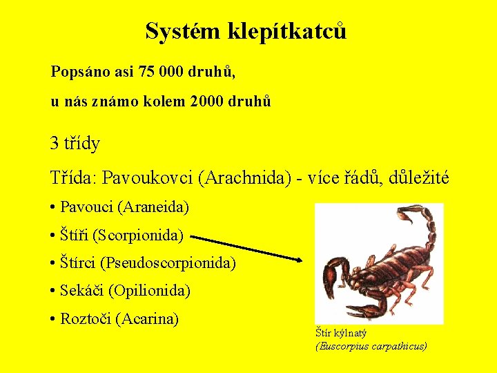 Systém klepítkatců Popsáno asi 75 000 druhů, u nás známo kolem 2000 druhů 3