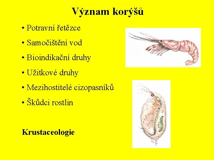 Význam korýšů • Potravní řetězce • Samočištění vod • Bioindikační druhy • Užitkové druhy