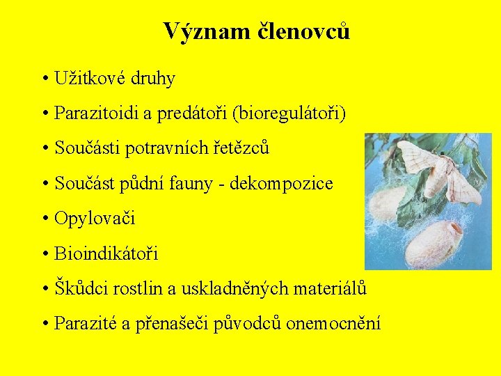 Význam členovců • Užitkové druhy • Parazitoidi a predátoři (bioregulátoři) • Součásti potravních řetězců