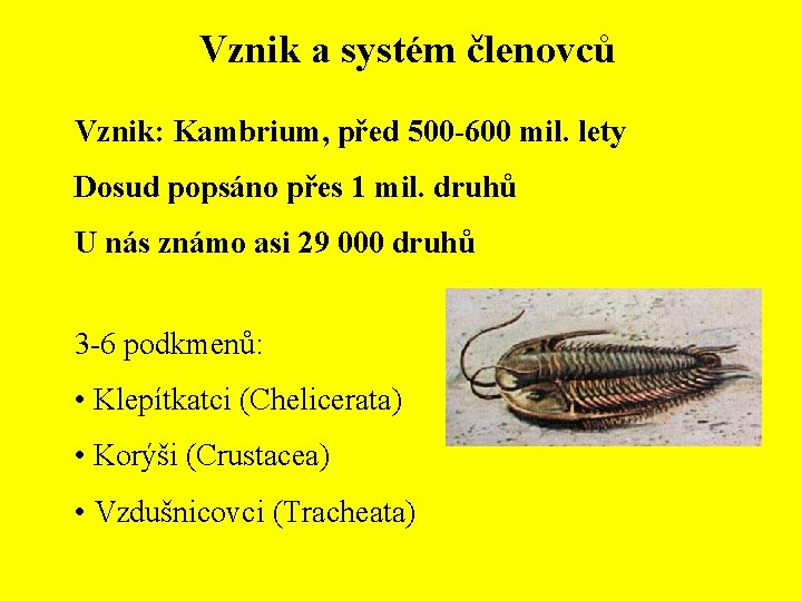 Vznik a systém členovců Vznik: Kambrium, před 500 -600 mil. lety Dosud popsáno přes