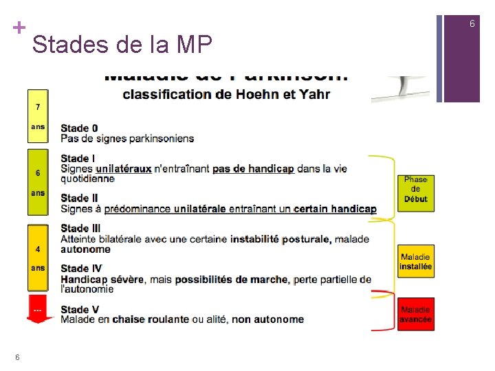 + 6 6 Stades de la MP 