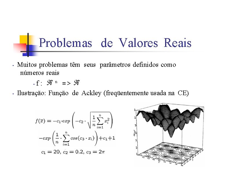 Problemas de Valores Reais • Muitos problemas têm seus parâmetros definidos como números reais