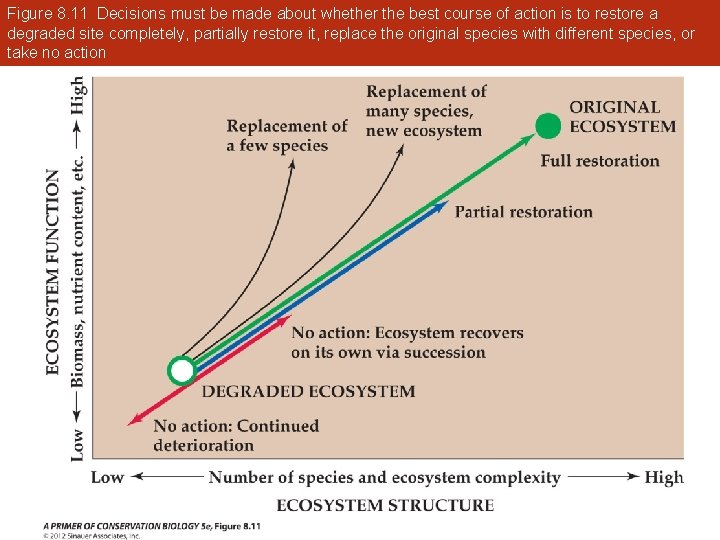 Figure 8. 11 Decisions must be made about whether the best course of action