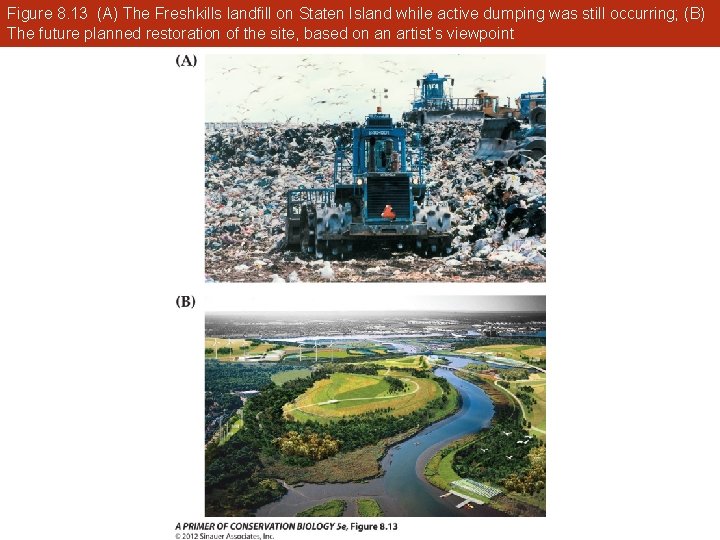 Figure 8. 13 (A) The Freshkills landfill on Staten Island while active dumping was