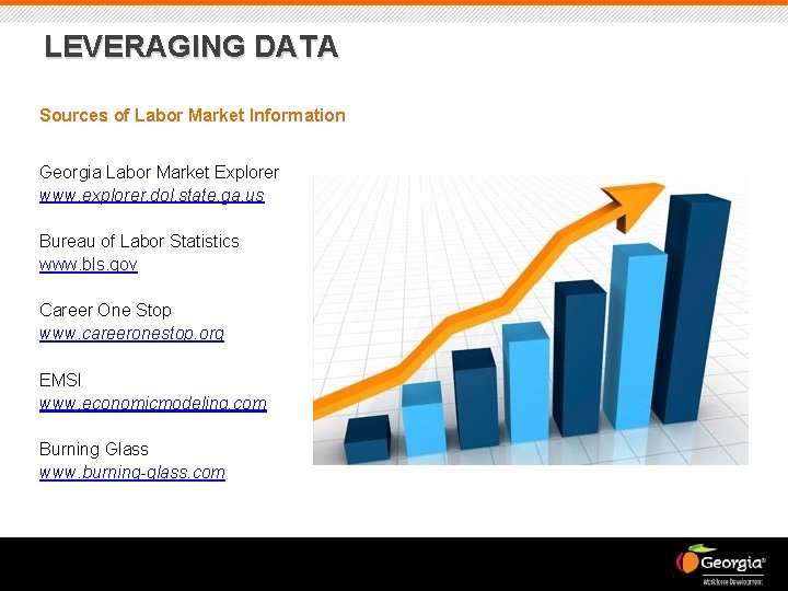 LEVERAGING DATA Sources of Labor Market Information Georgia Labor Market Explorer www. explorer. dol.